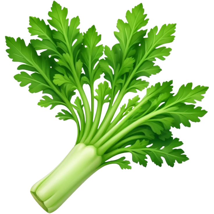 A fresh celery stalk, green and crisp, with its long, fibrous stems and leafy tops. It’s often used in cooking or as a crunchy snack emoji