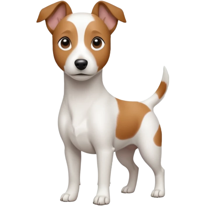 a fully white jack russell the size of a kelpie with floppy ears and a half white face emoji