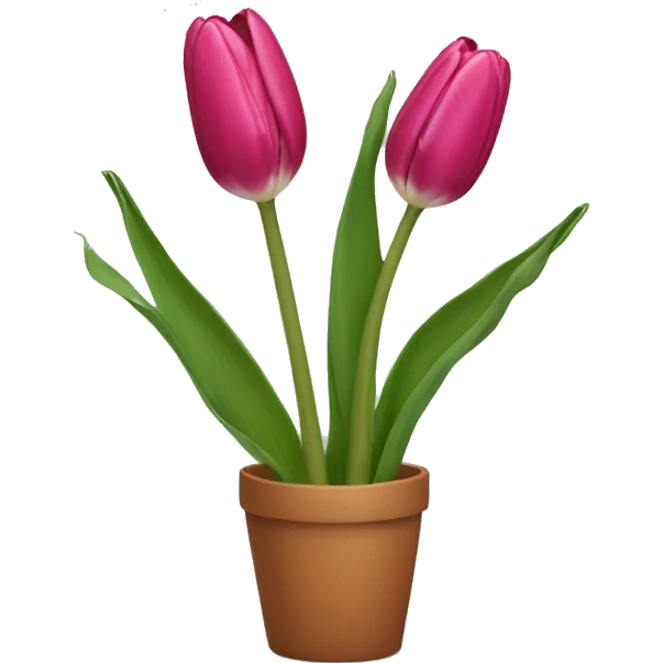 Tulip emoji