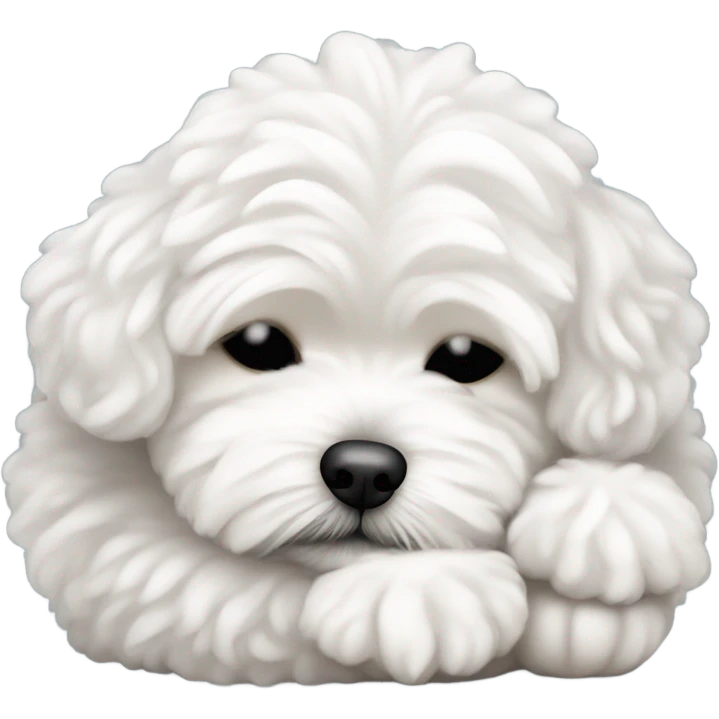 White maltipoo sleeping emoji