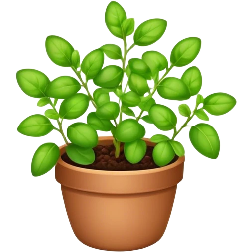 Marjoram plant  emoji