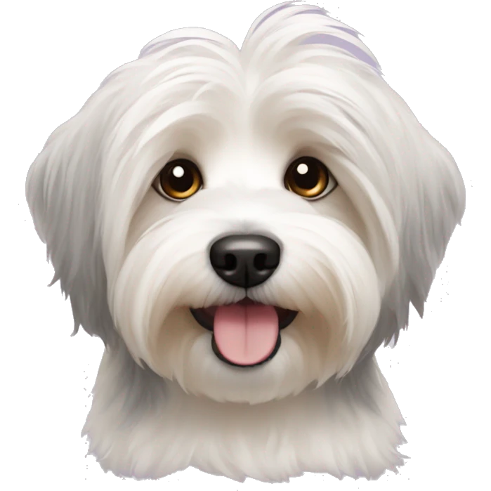 Havanese emoji