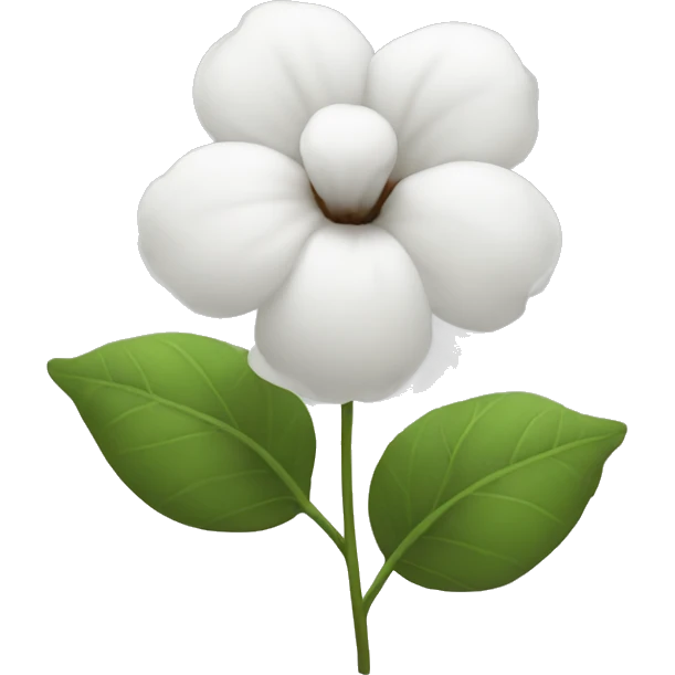 cotton flower emoji