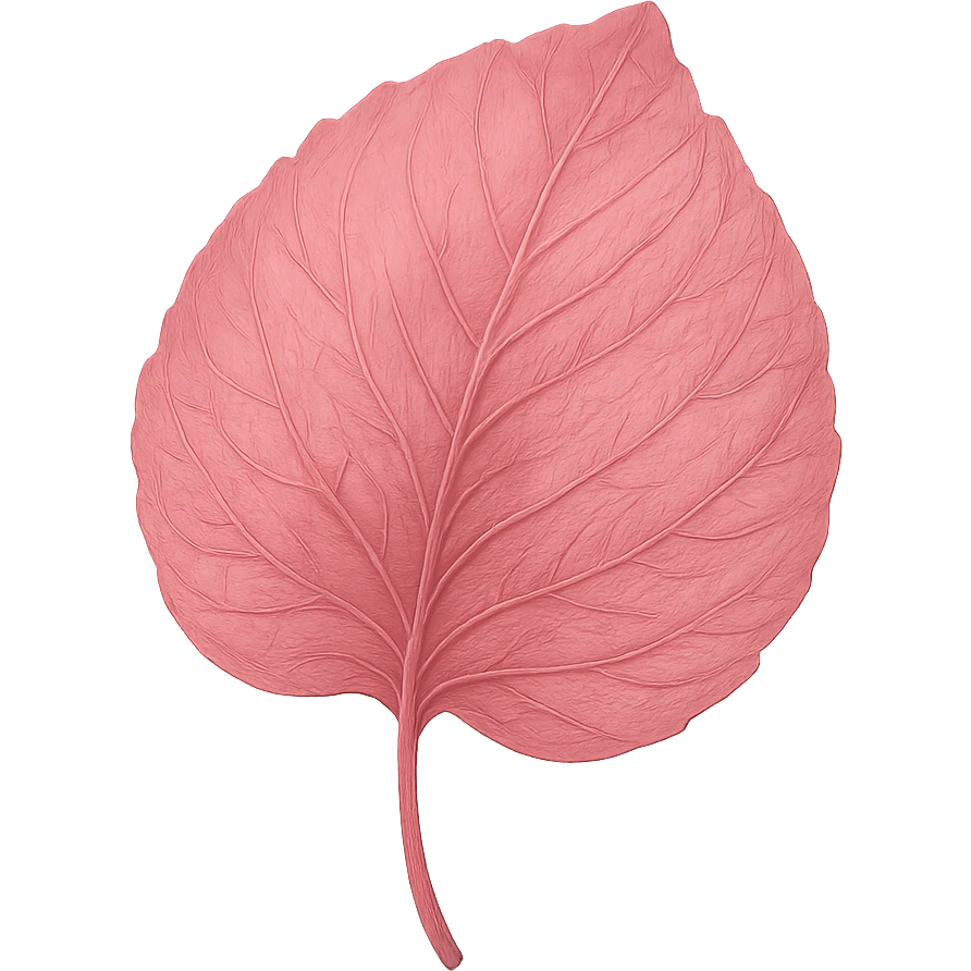 pink leaf, digital illustration emoji