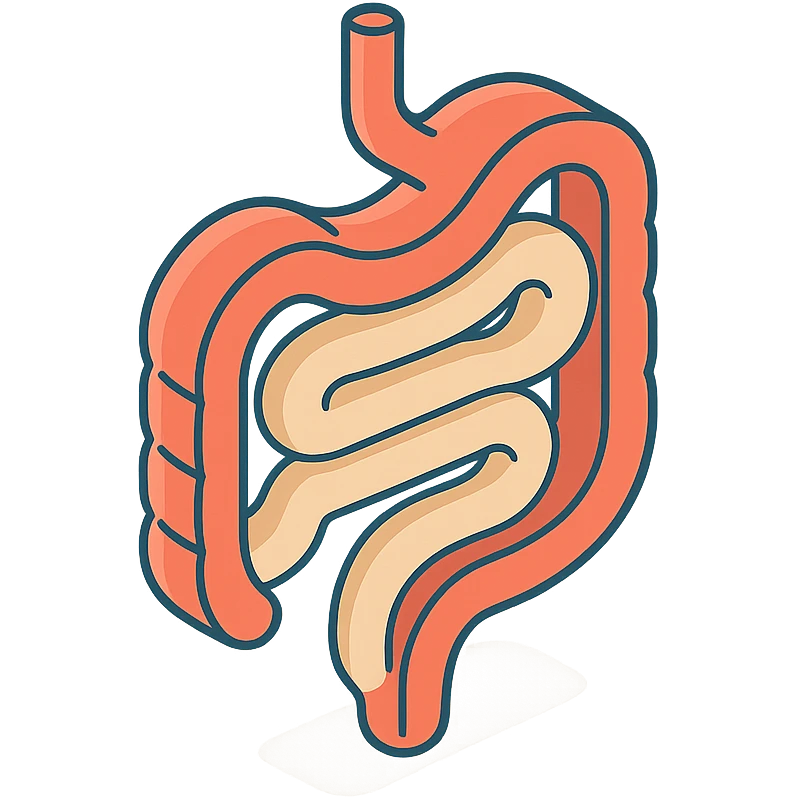 schematic intestine with bends, 2D isometric style, minimalist background, soft shadows and highlights, transparent background emoji