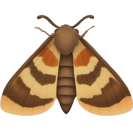 autumn moth emoji