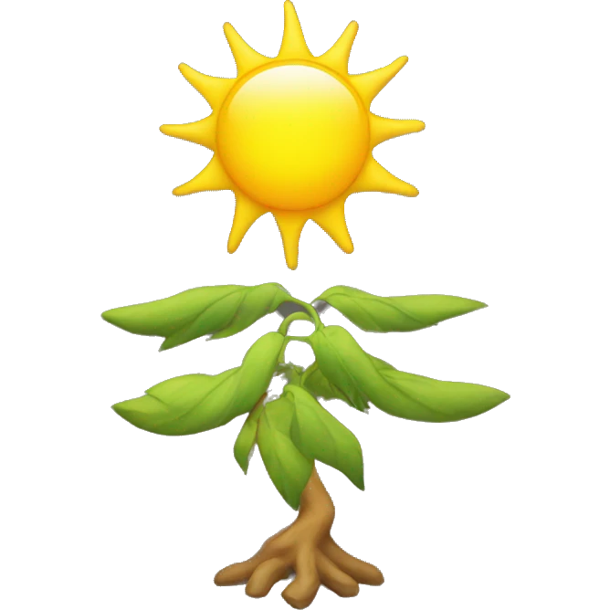 Bright yellow sun  emoji