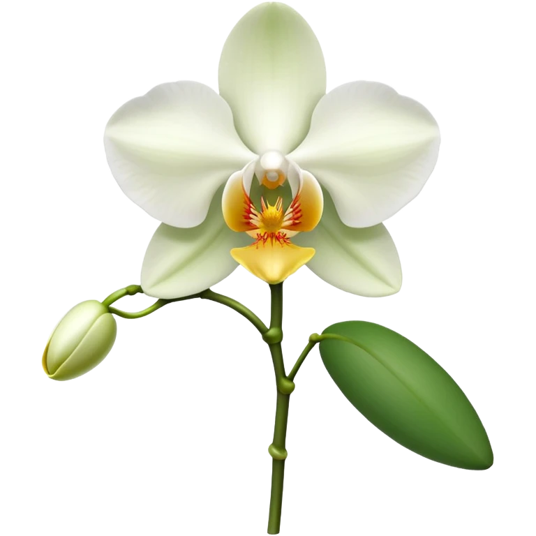 orchid emoji