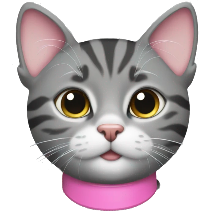 grey and black tabby cat with pink collar emoji