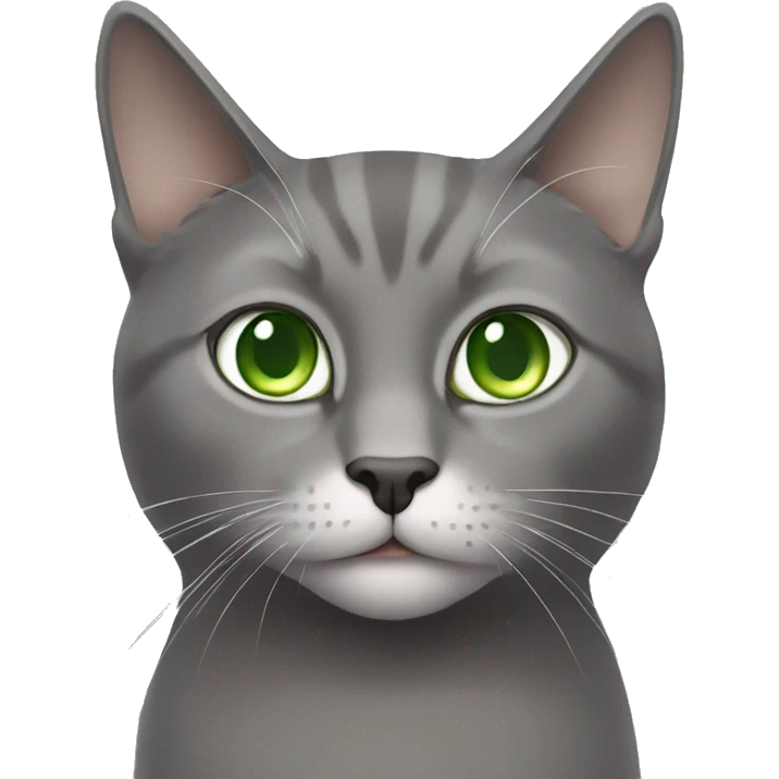 Gray cat with white chin gazing indoors with green eyes  emoji