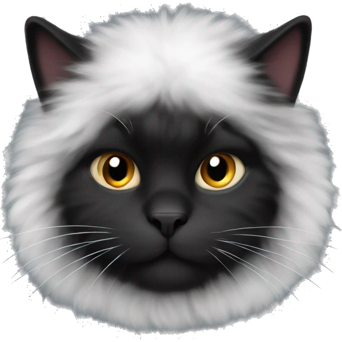 black fat fluffy cat with white fur on his chest emoji