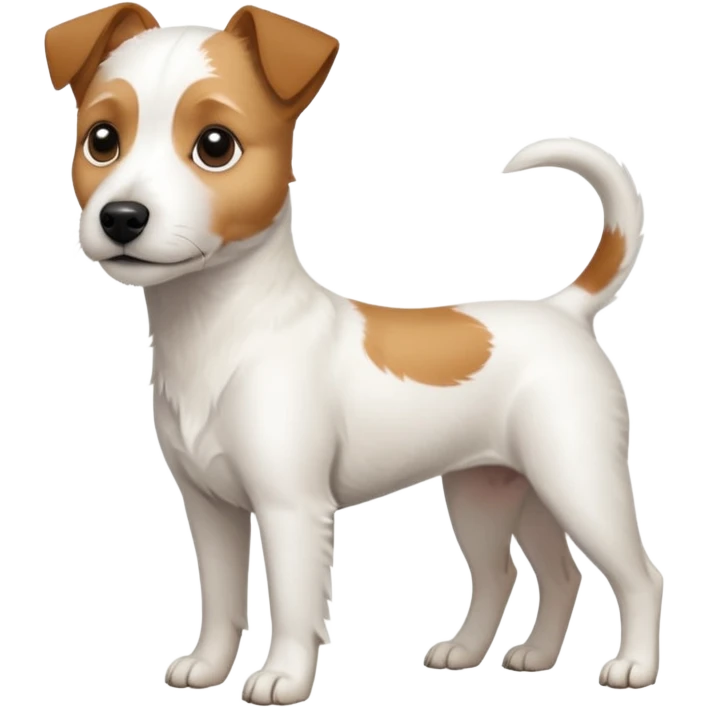 a full body slightly chubby white parson russell terrier looking dog the size of a kelpie with light brown long ears and a light brown patch on one eye and a large snout emoji