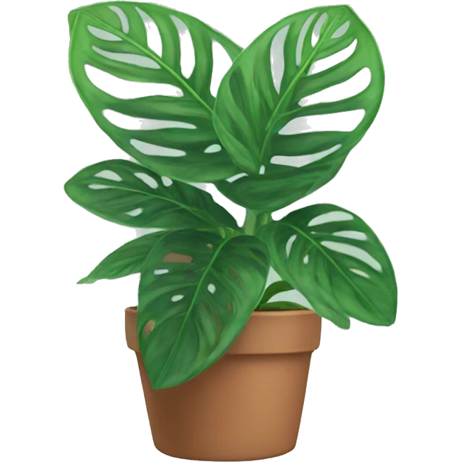Prayer plant emoji