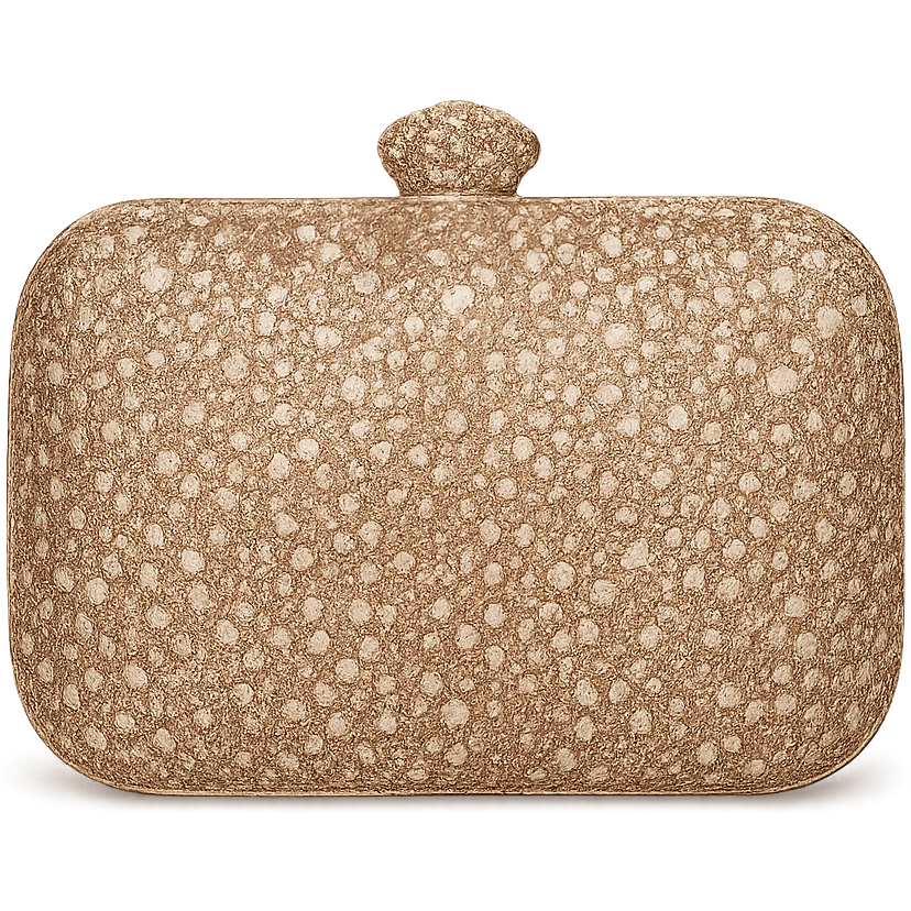 glamorous clutch purse, sparkling and elegant emoji