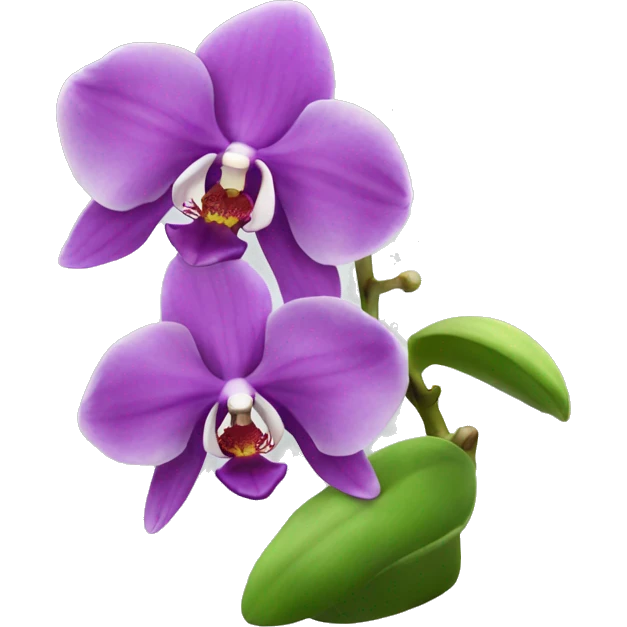 Orchid emoji