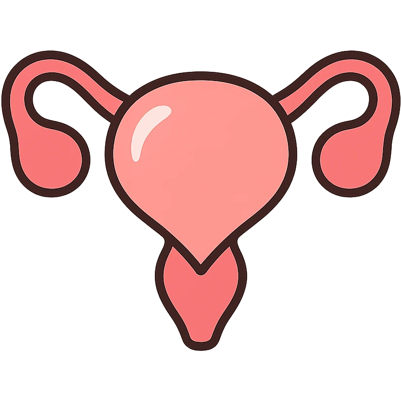 A clean, minimalistic vector illustration of a simplified uterus icon, designed as a stylized flower or heart shape with upward-sweeping fallopian tube 'horns'. Use smooth, well-defined lines with a modern flat design. Apply soft inner shadows and subtle highlights to give depth and gloss without breaking the flat aesthetic. Keep the design centered, symmetrical, and elegant. Transparent background. Color palette: soft pinks, muted reds, and gentle white highlights emoji