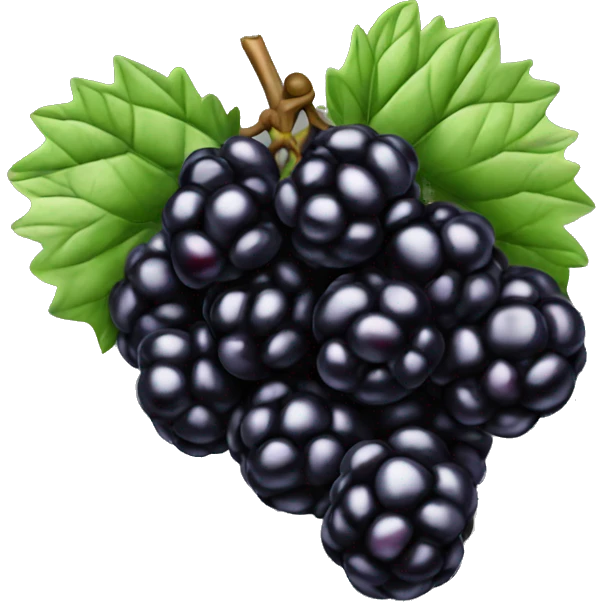 1 Blackberry fruit emoji