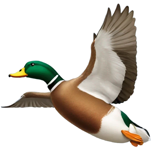 Mallard duck flying emoji