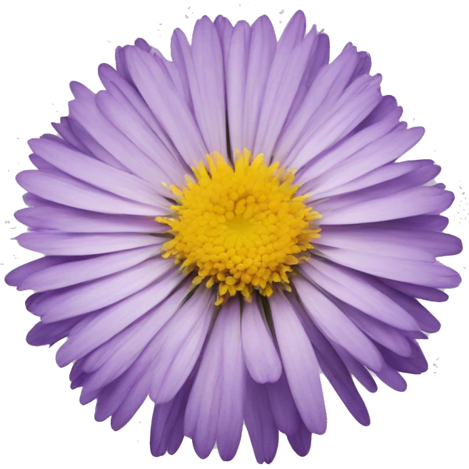 aster libra emoji