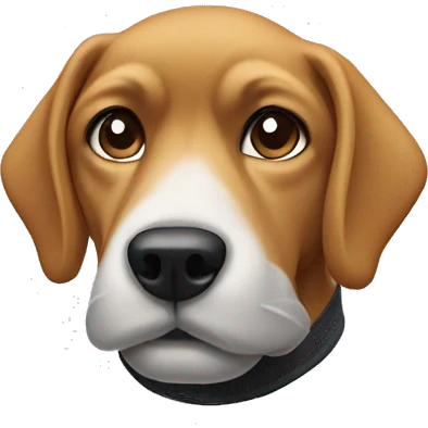 Dog wearing nike tech fleece emoji