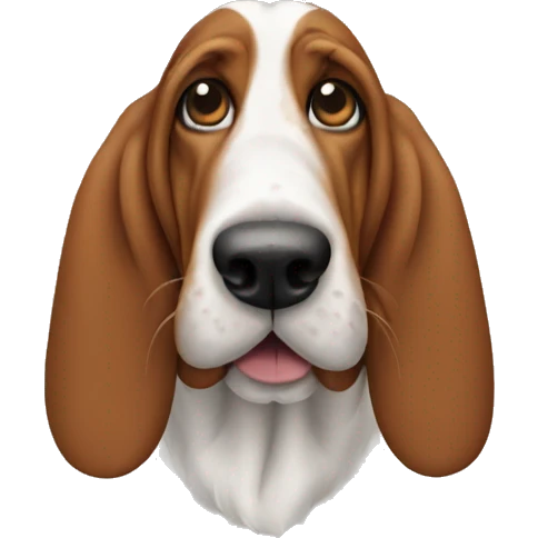 Basset hound  emoji