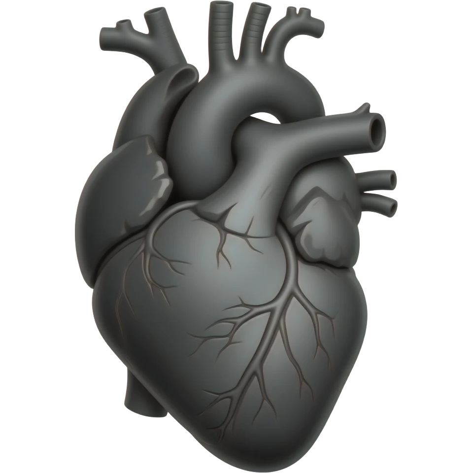 Siyah anatomik kalp emoji