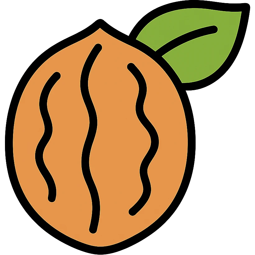 a walnut with a leaf, simple and modern icon emoji