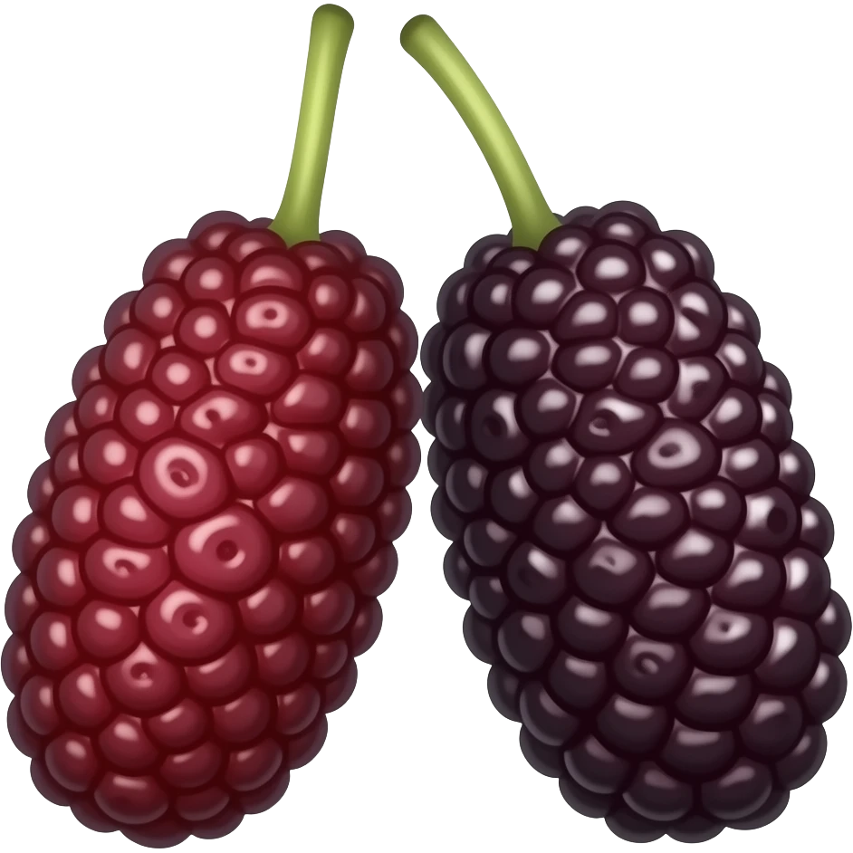 Two long mulberries emoji