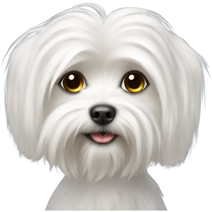 Maltese dog emoji