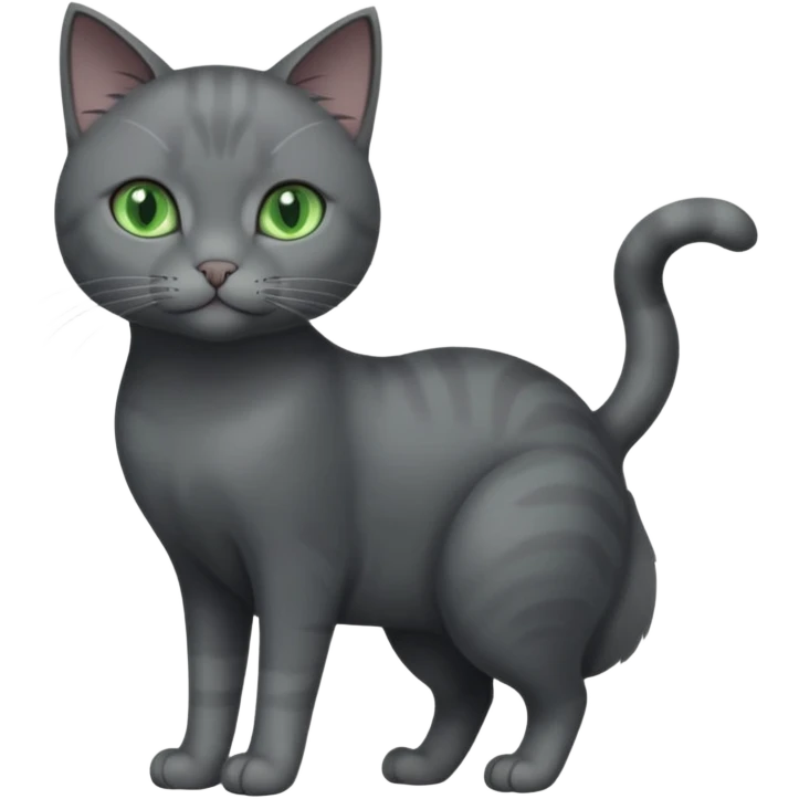 full body view of beautiful female solid dark grey cat with green eyes, grey face, white toes/paws and white patch on her chest emoji