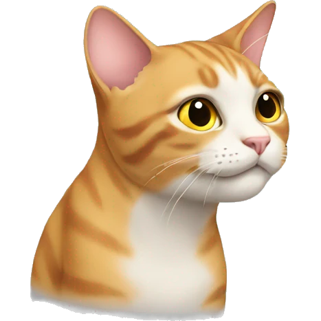Cat smells  emoji