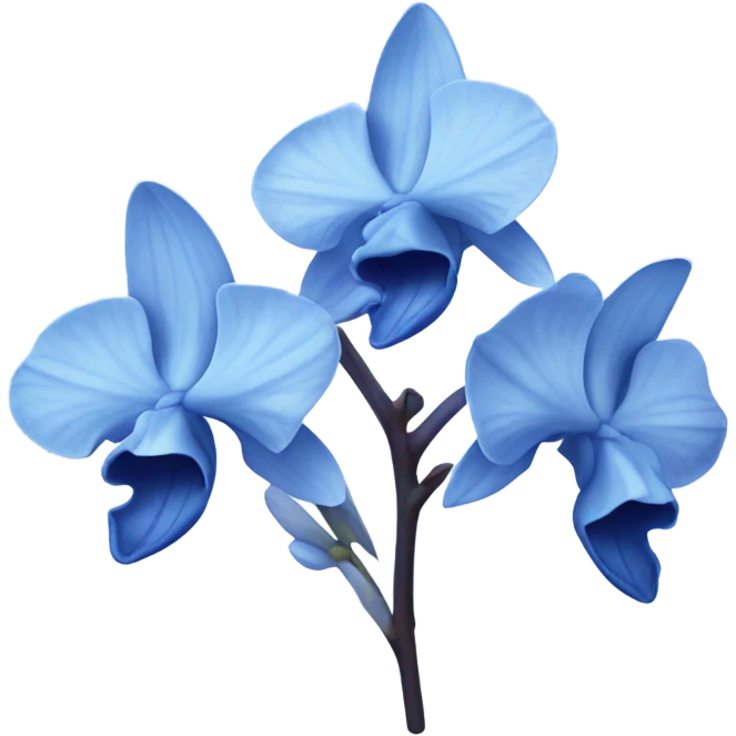 Blue orchid flowers  emoji