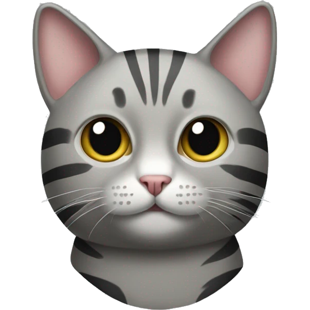 gray striped cat with no tail emoji