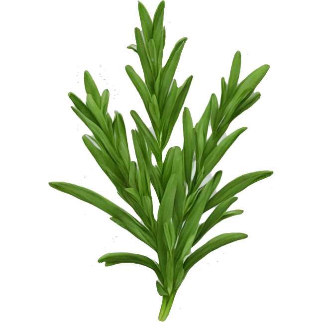 Tarragon  emoji
