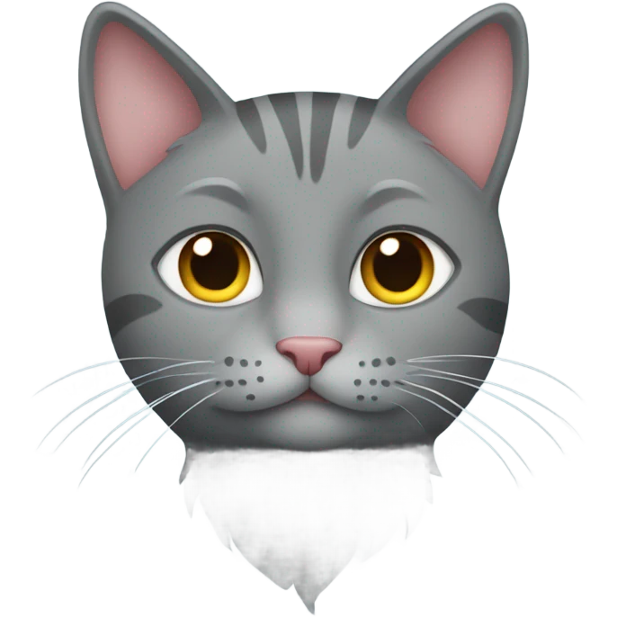 Grey cat with heart emoji