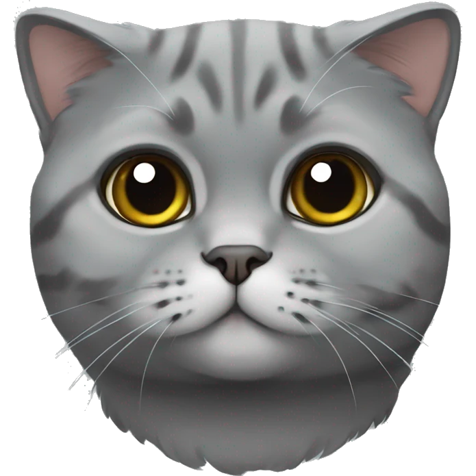 Cat Scottish fold gray emoji