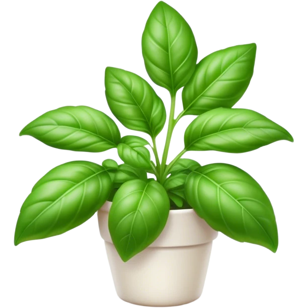 Cinematic Realistic Basil Emoji, Lush and fragrant, with vibrant green leaves that release a fresh, herbal aroma. The soft, glossy leaves are delicately arranged along slender stems, exuding vitality and flavor. Soft glowing outline, capturing the essence of freshness, growth, and aromatic delight in a blossoming basil plant! emoji