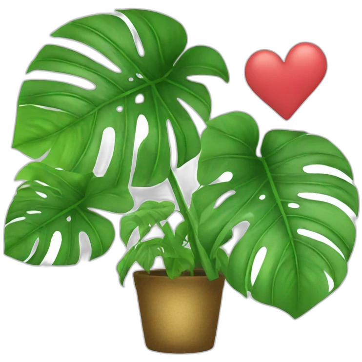 Monstera avec coeur emoji