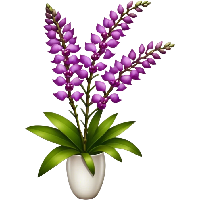 super big bouquet Rhynchostylis Orchid, stem, leaf emoji