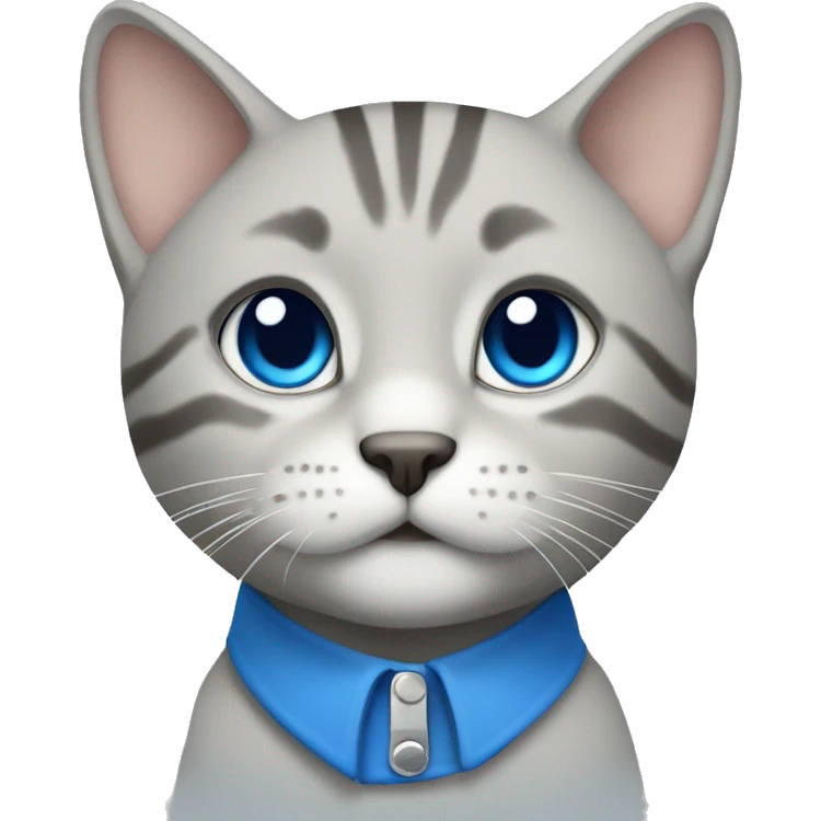 Light Grey tabby with blue collar emoji