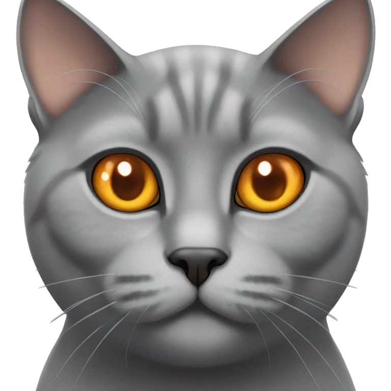british grey cat orange eyes emoji