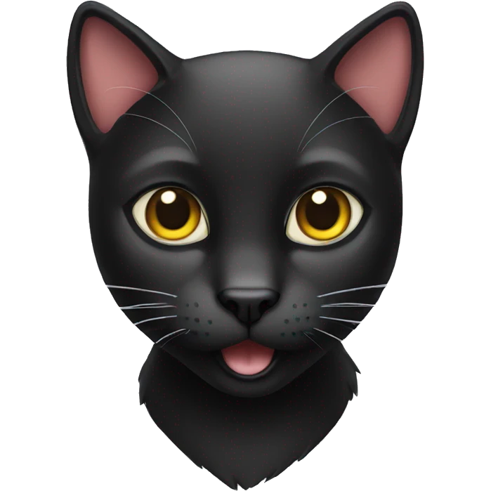 a black cat emoji