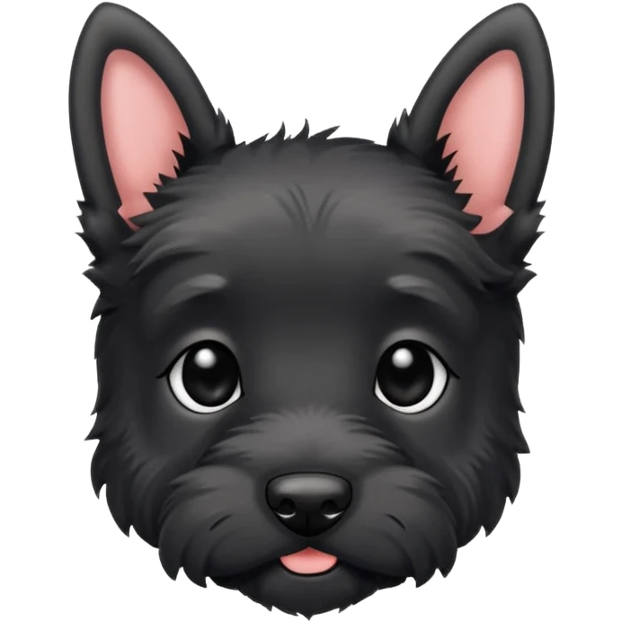 A cute small scotish terroir puppy that has beady black eyes, a non cropped tail and black fur.  emoji