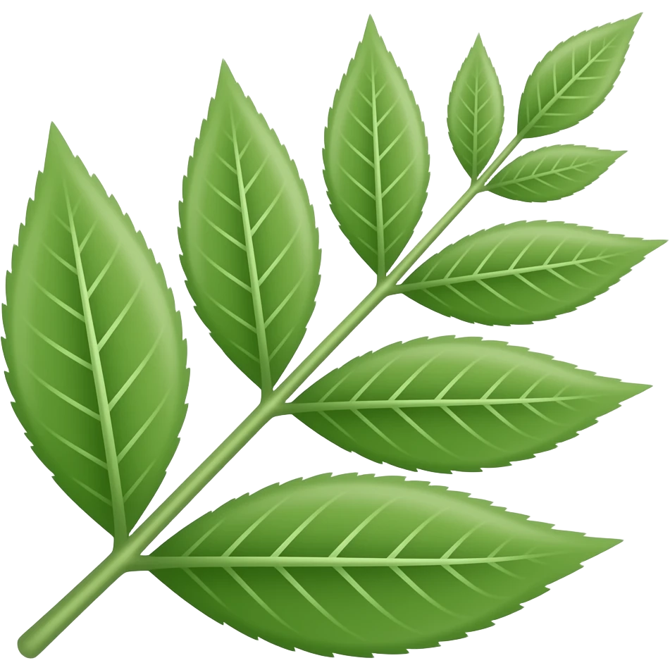 Neem leave emoji