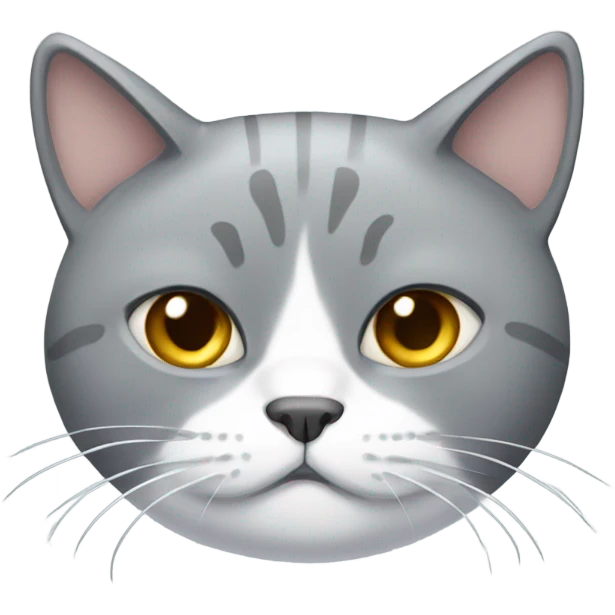 Fat grey cat with white chest emoji