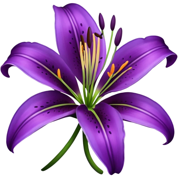 Purple lily flower emoji