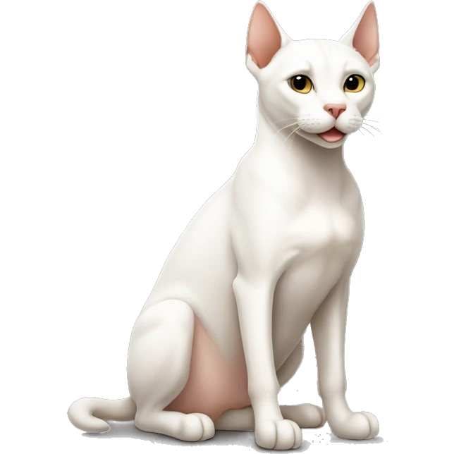White cat sitting with Doberman  emoji