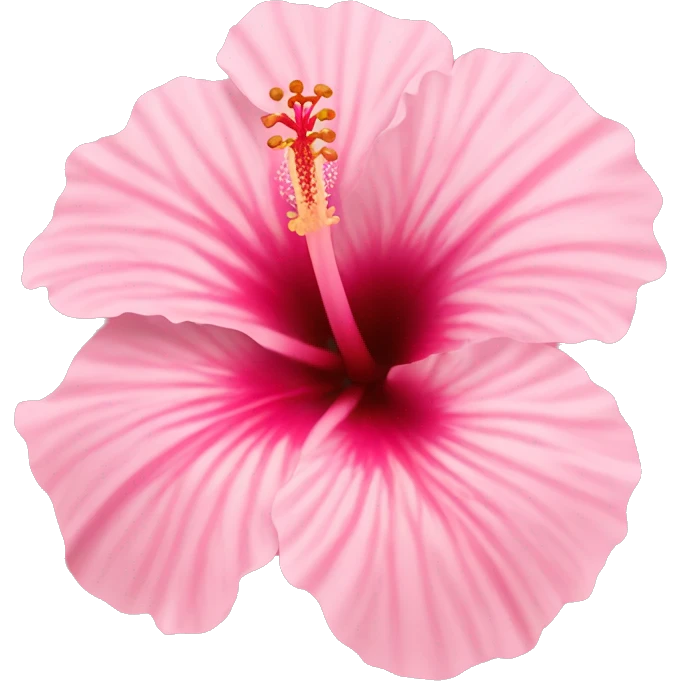 light pink hibiscus emoji