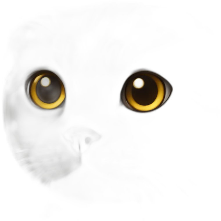 white scottish fold emoji