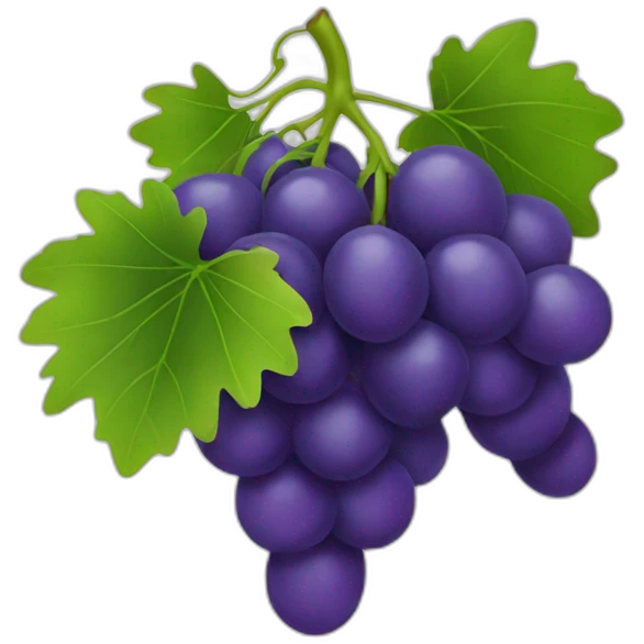 one grape emoji